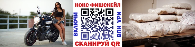 Кокаин Fish Scale  Купить  Новопавловск 