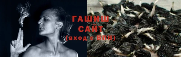 эйфоретик Баксан